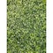 Ejoy 71in x 63in Artificial Light Green Boxwood Roll Panels for Outdoor Use 71x63Hedgeroll_Milan_1Roll - alternate 2